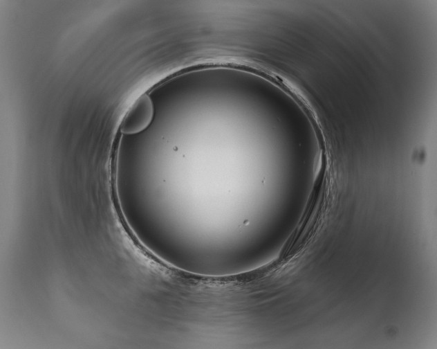 X0000112060951200908041212