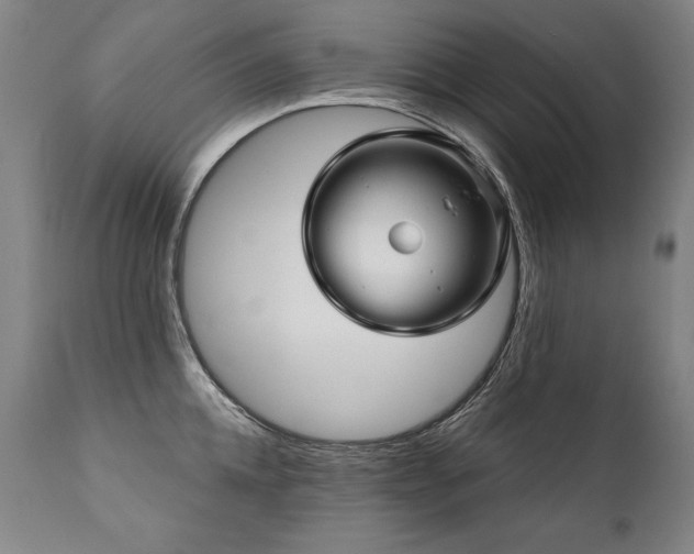 X0000112060952200908041212