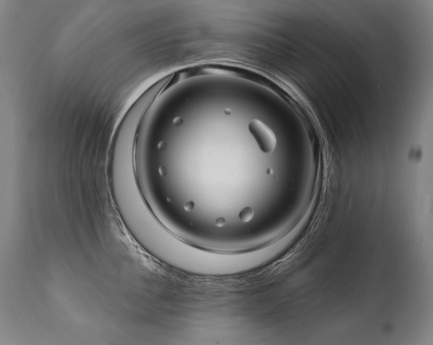 X0000112060956200908041212