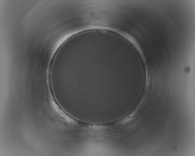X0000112060958200908041212