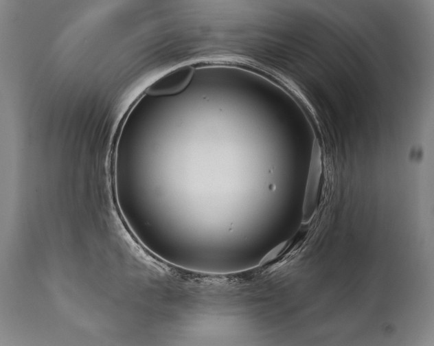 X0000112060959200908041212