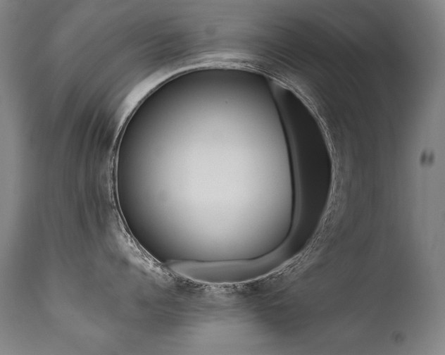 X0000112060960200908041212
