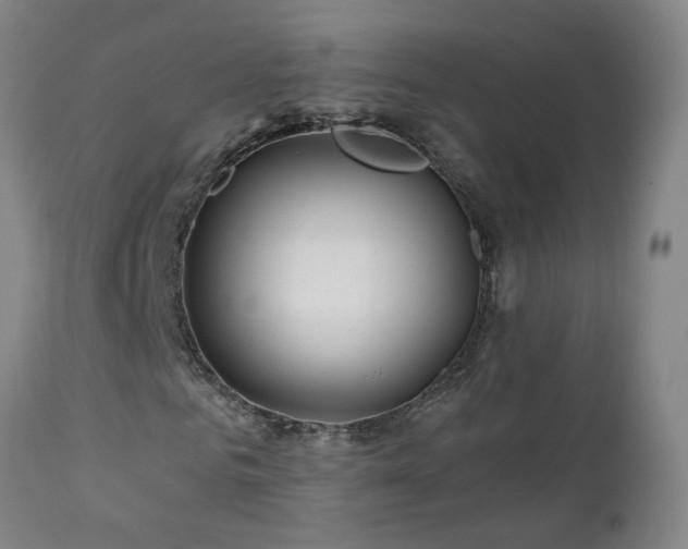 X0000112060961200908041211