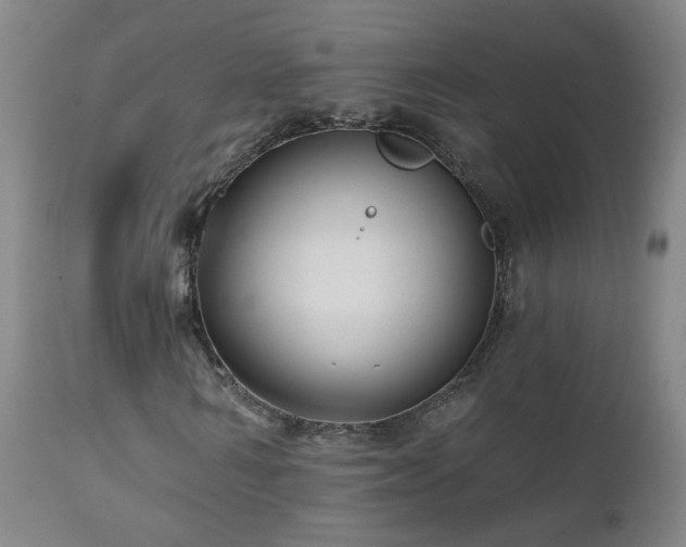 X0000112060962200908041211