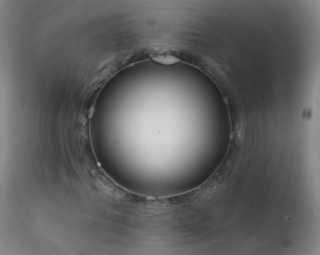 X0000112060964200908041211