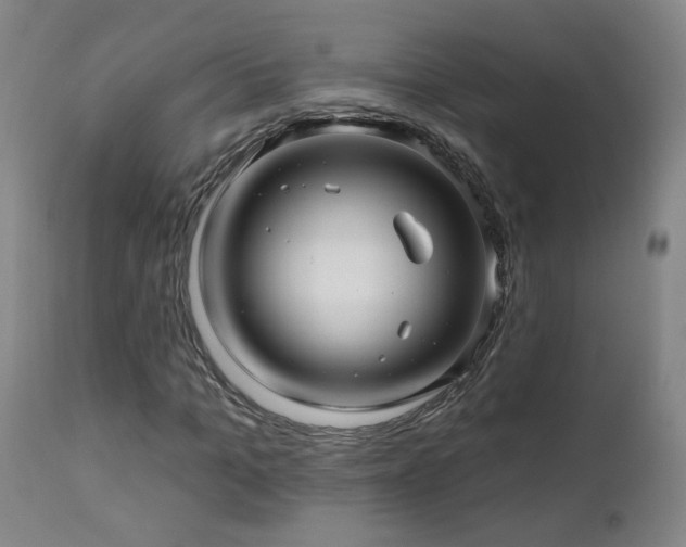 X0000112060965200908041211