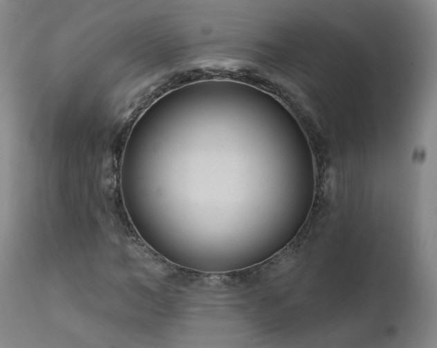 X0000112060966200908041211