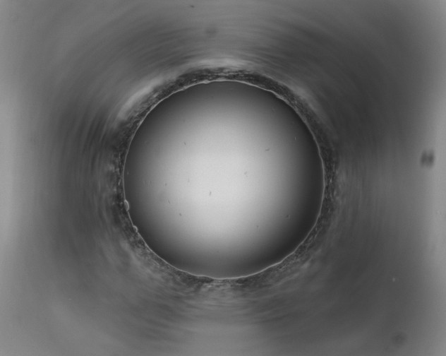 X0000112060967200908041211