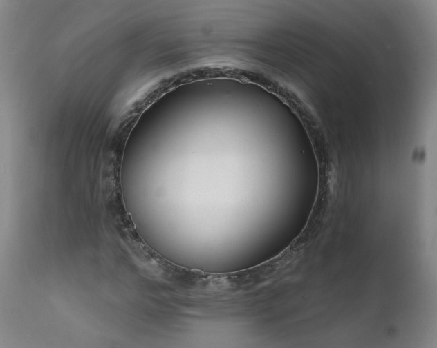X0000112060968200908041211