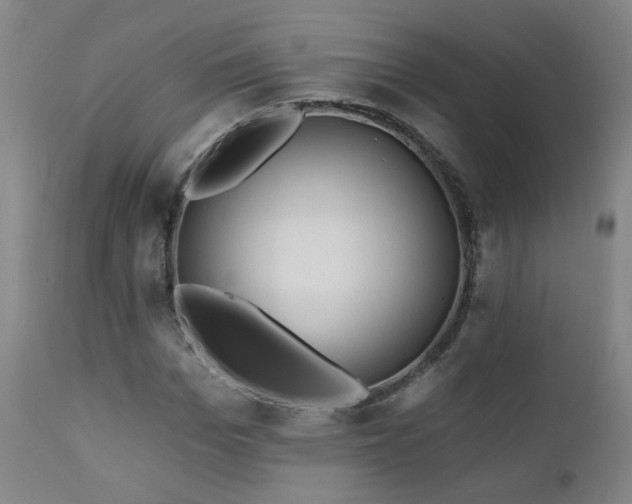 X0000112060969200908041211