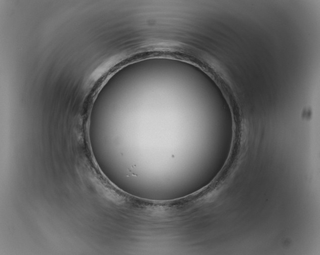 X0000112060970200908041211