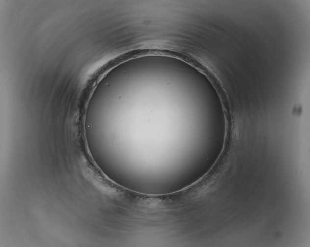 X0000112060971200908041210