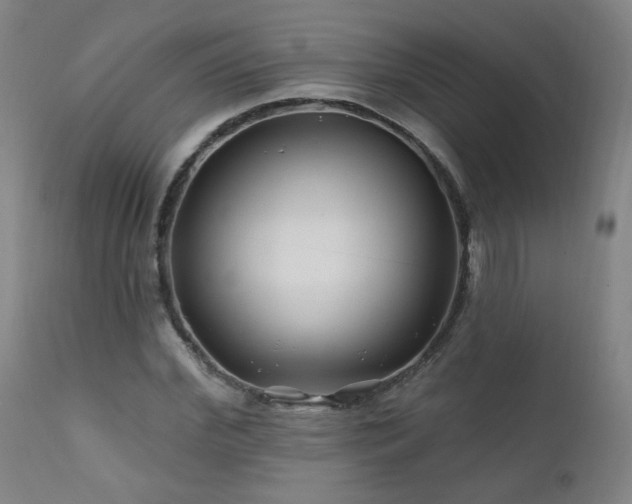 X0000112060972200908041210
