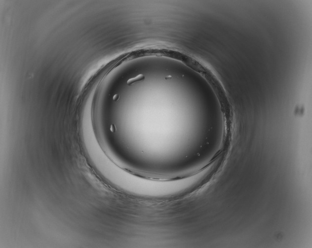 X0000112060973200908041210