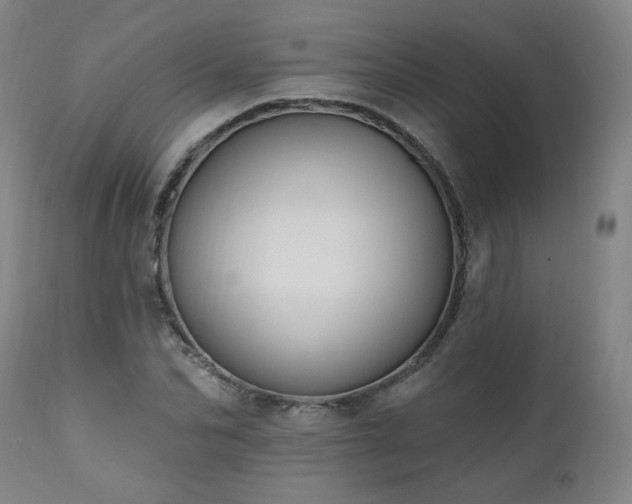 X0000112060974200908041210
