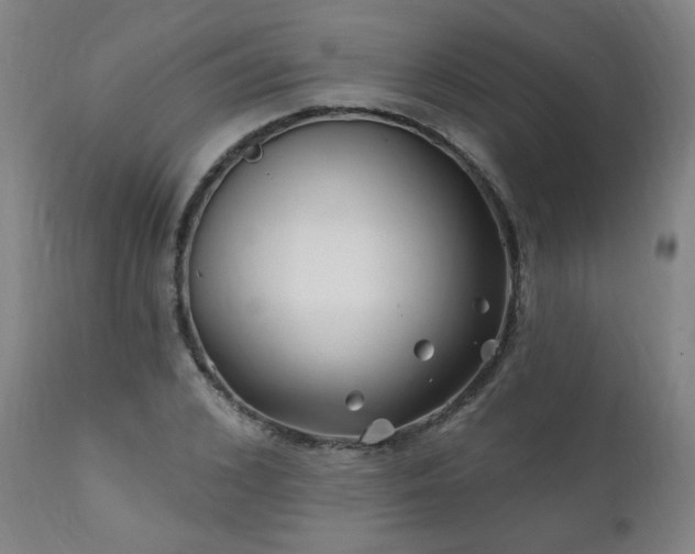 X0000112060976200908041210