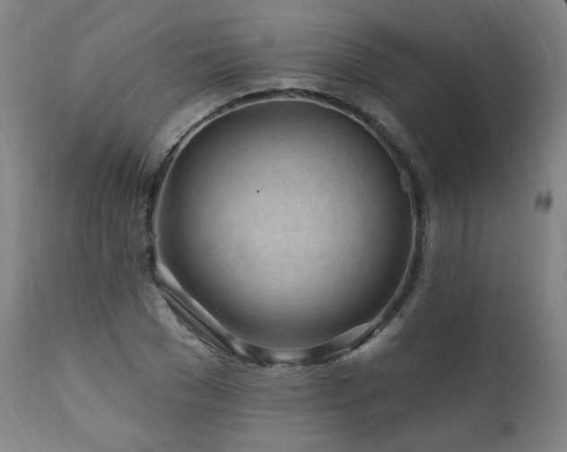 X0000112060977200908041210