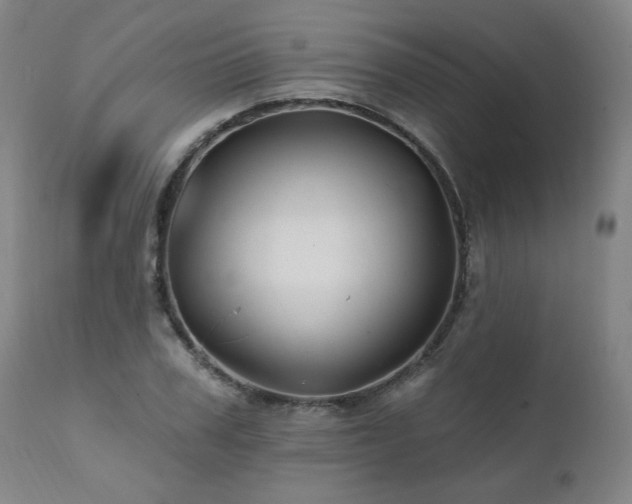 X0000112060979200908041210