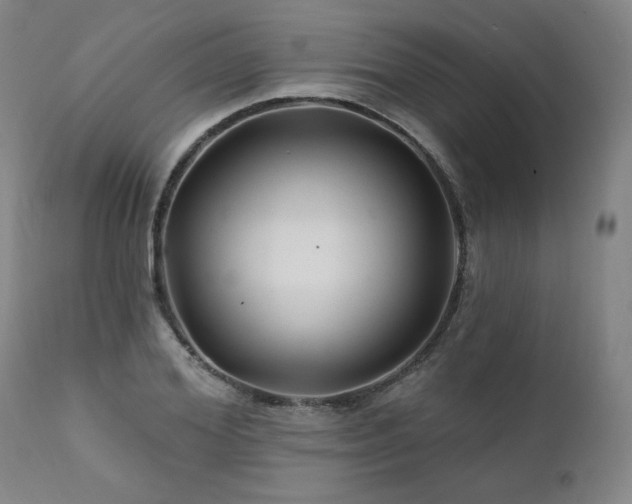 X0000112060980200908041210