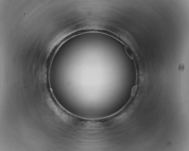 X0000112060981200908041210
