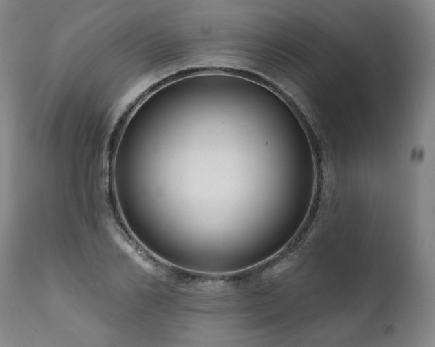 X0000112060982200908041210