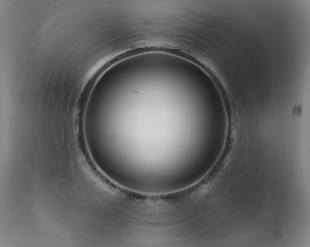 X0000112060983200908041210