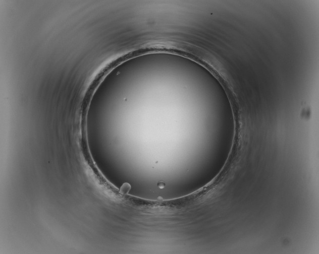 X0000112060984200908041210
