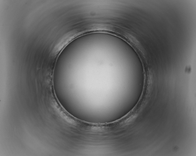 X0000112060985200908041210
