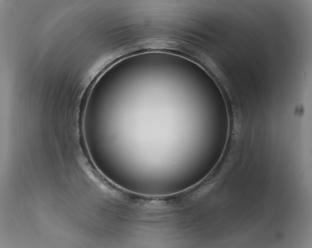 X0000112060986200908041210