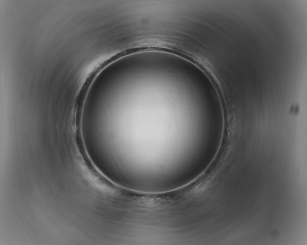 X0000112060987200908041210