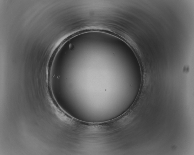 X0000112060988200908041210