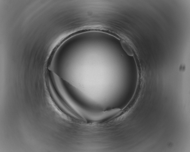 X0000112060989200908041210