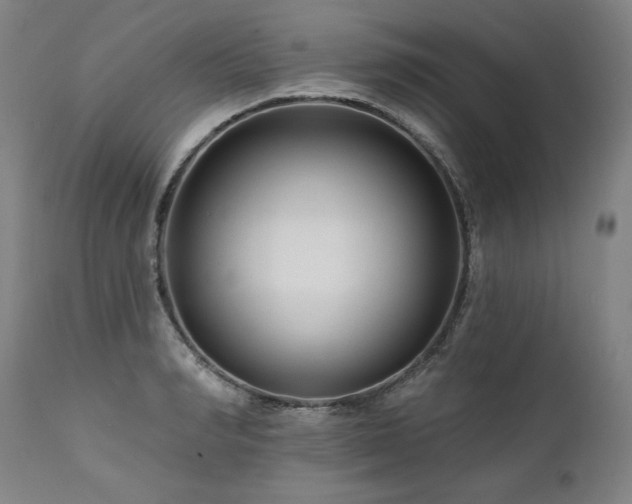 X0000112060990200908041210