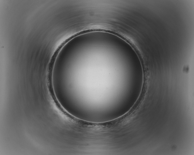 X0000112060991200908041210