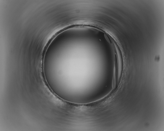 X0000112060992200908041210