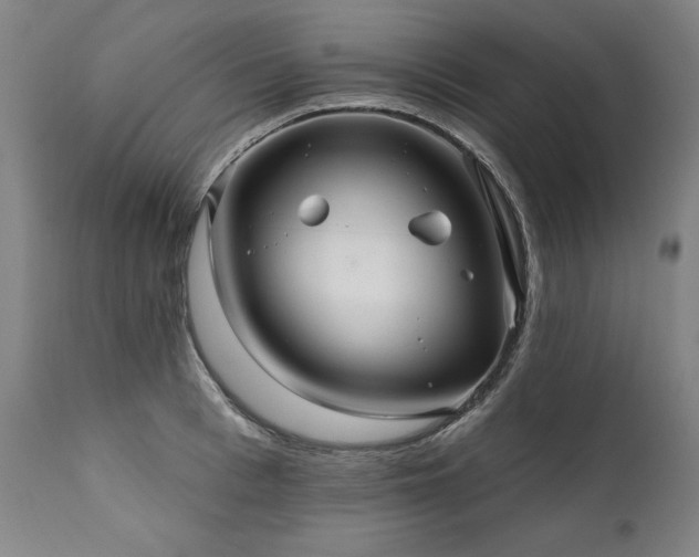 X0000112060993200908041210