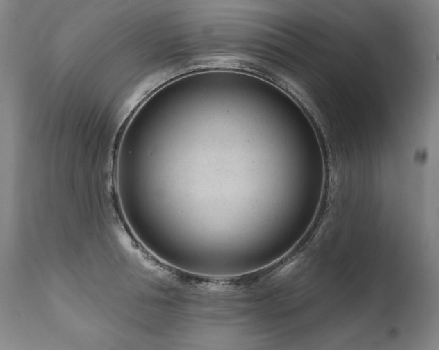 X0000112060994200908041210