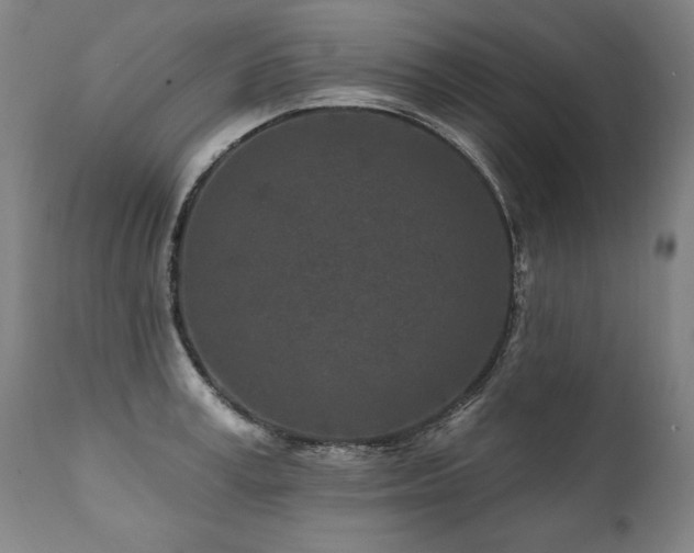 X0000112060995200908041210