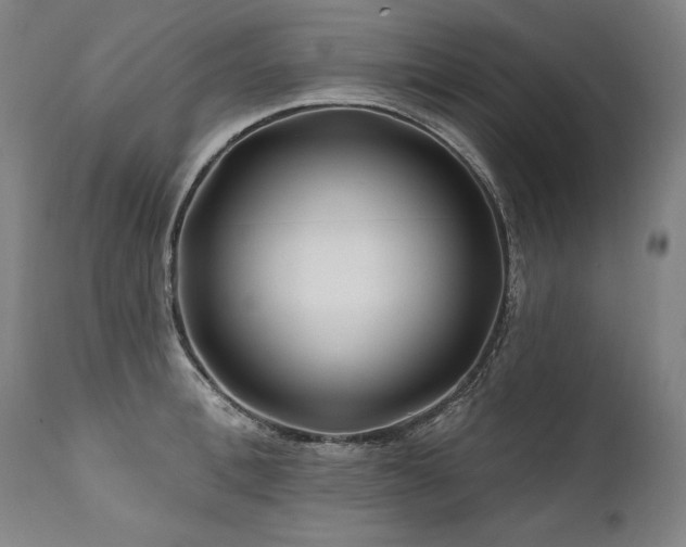X0000112060996200908041210