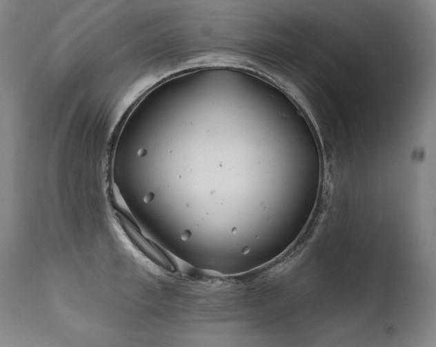 X0000112060997200908041210