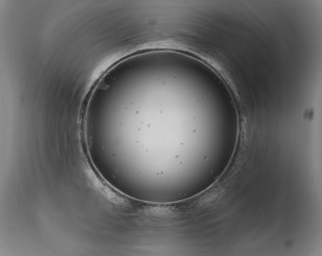 X0000112060998200908041210