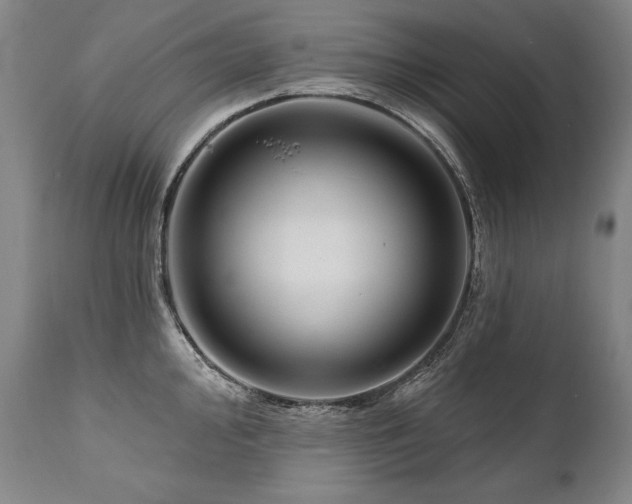 X0000112061000200908041210