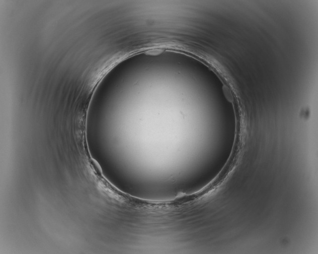 X0000112061001200908041210