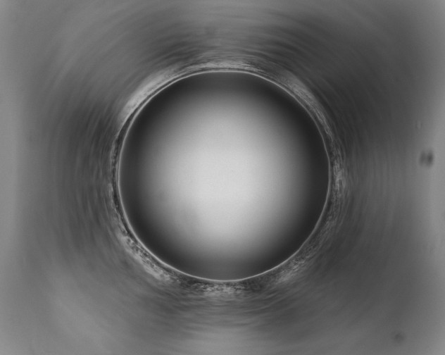 X0000112061002200908041210
