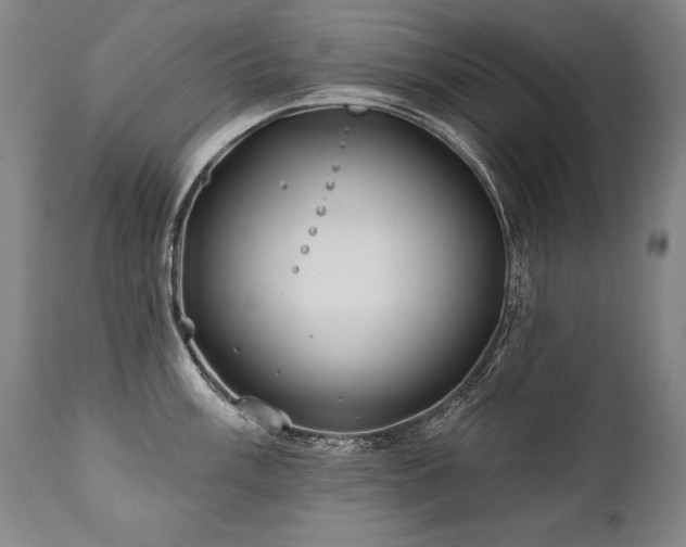 X0000112061003200908041210
