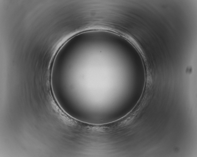 X0000112061004200908041210