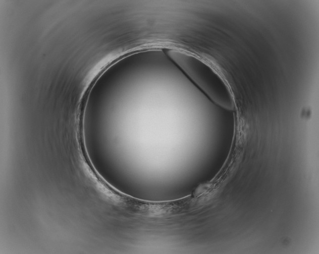 X0000112061005200908041210
