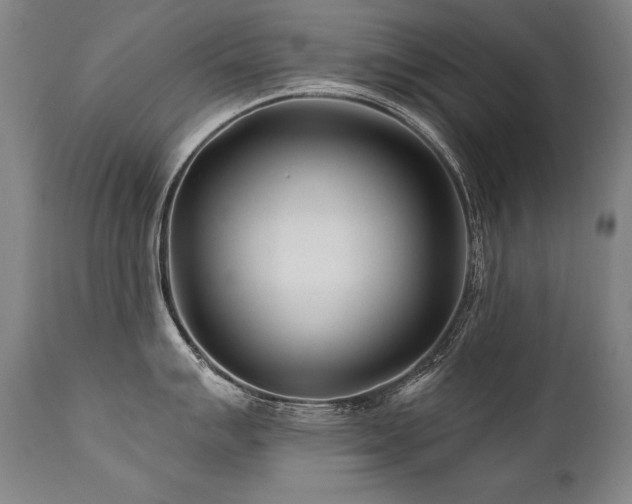 X0000112061007200908041210