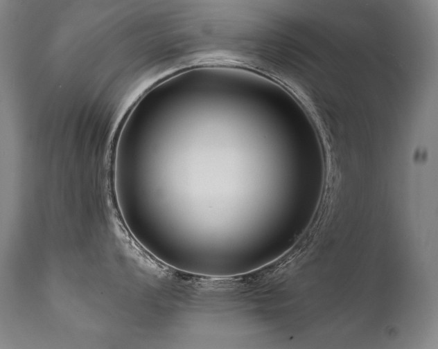 X0000112061008200908041210