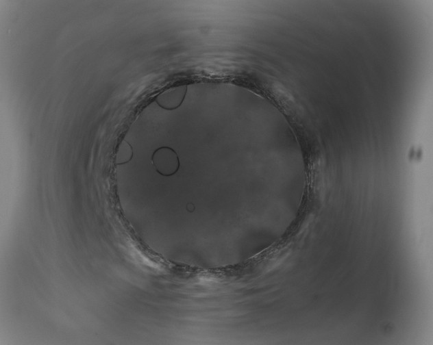 X0000112061009200908041209